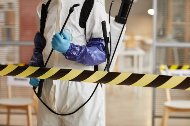 Professional Sewage Cleanup technician working in Henefer, UT